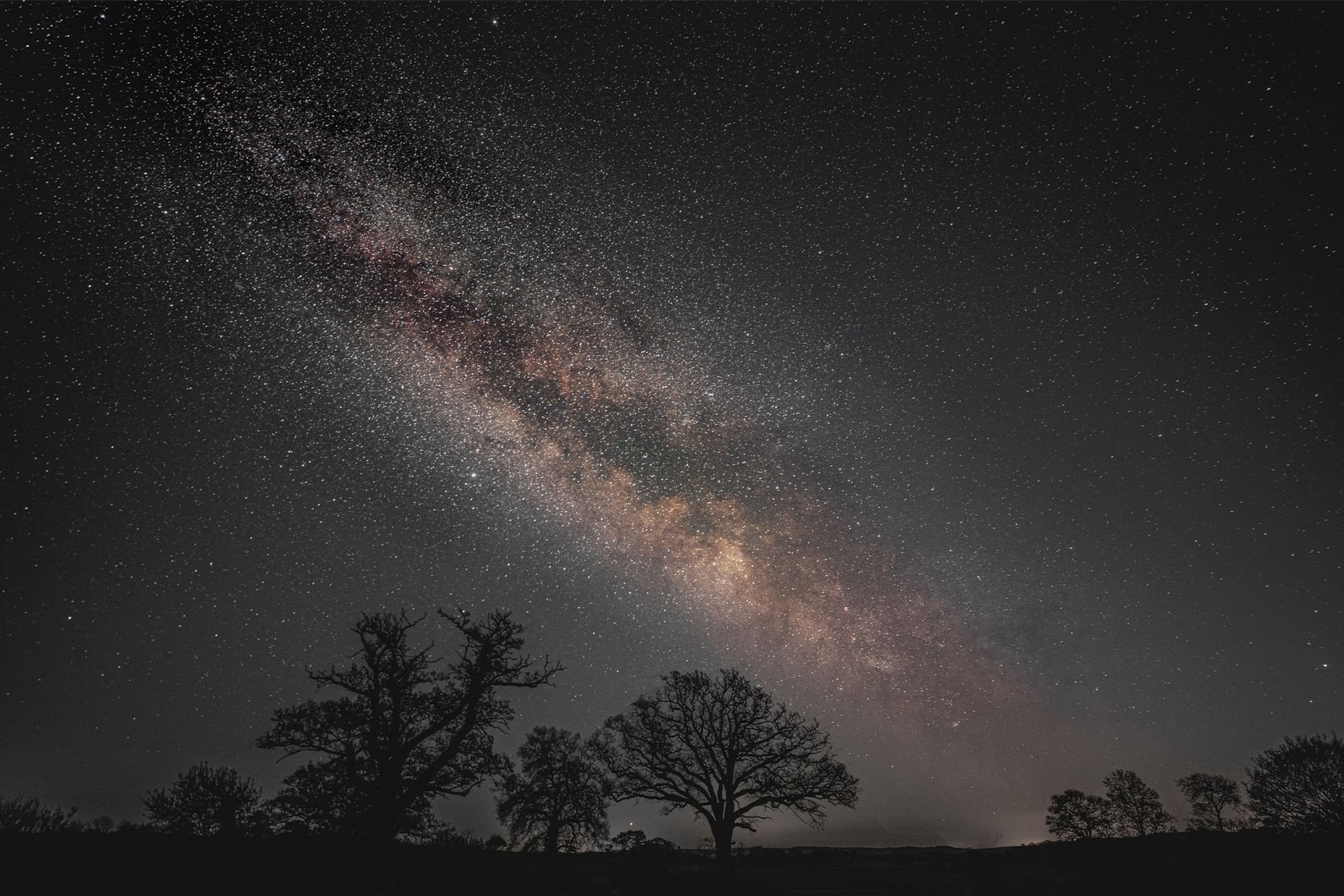 Star Watching