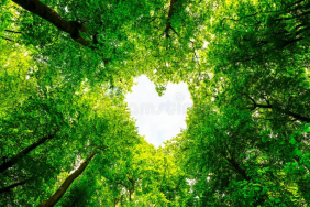 In the Heart of Green Nature: Holiday Fun in Norway’s Forest Houses 2024