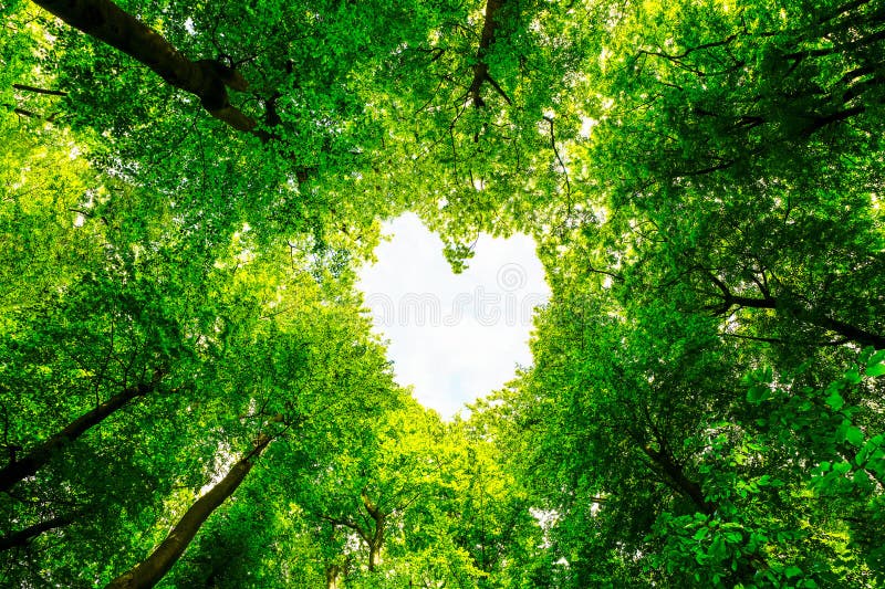 In the Heart of Green Nature: Holiday Fun in Norway’s Forest Houses 2024