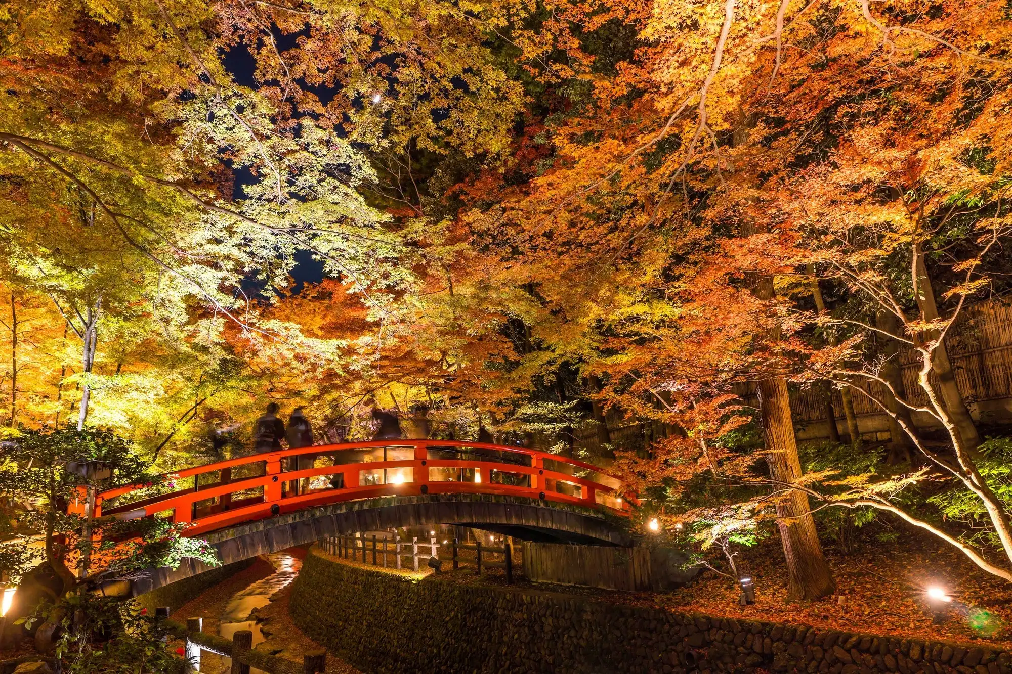 Kyoto history nature