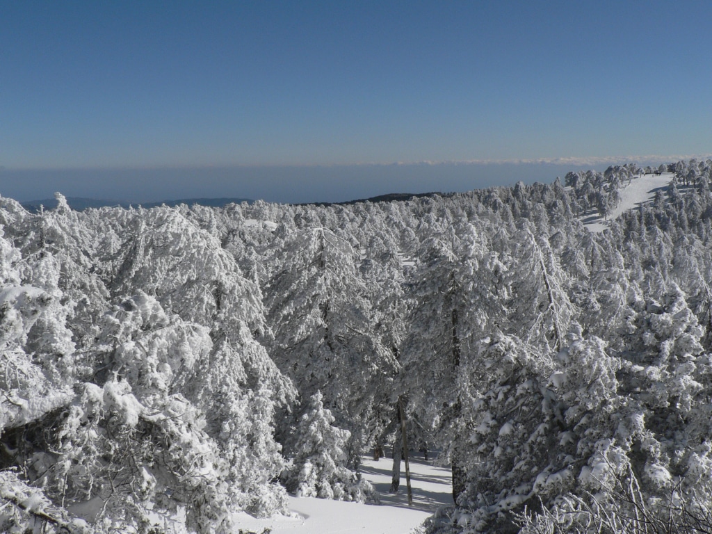Troodos Mountains, Cyprus: Orthodox Churches and Lush Nature