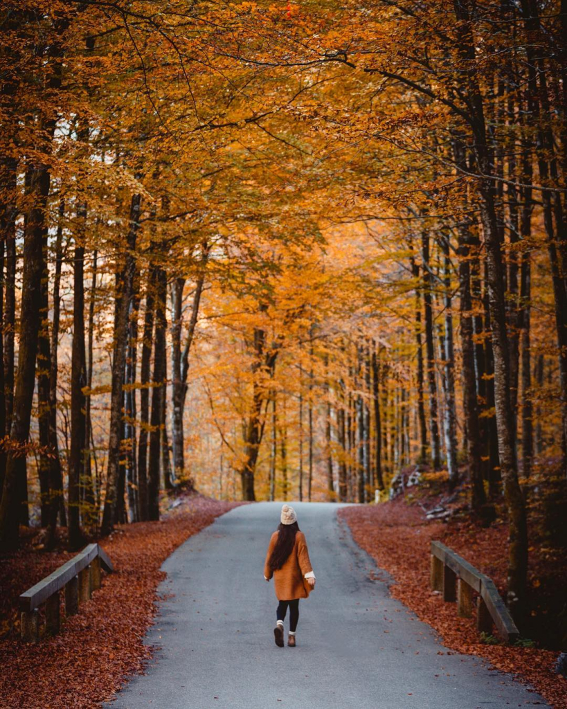 Where to See Europe’s Best Autumn Colors: Top 9 Spots